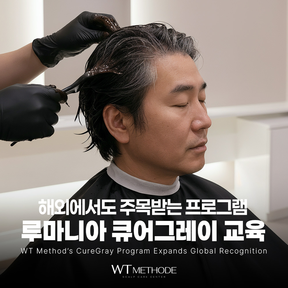 루마니아 큐어그레이 교육