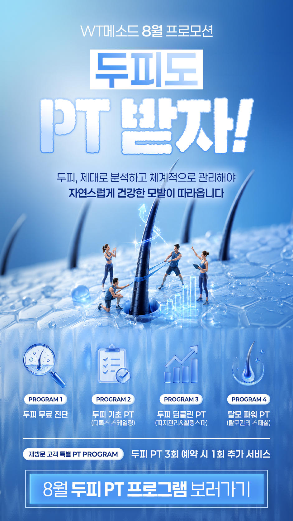 8월 프로모션